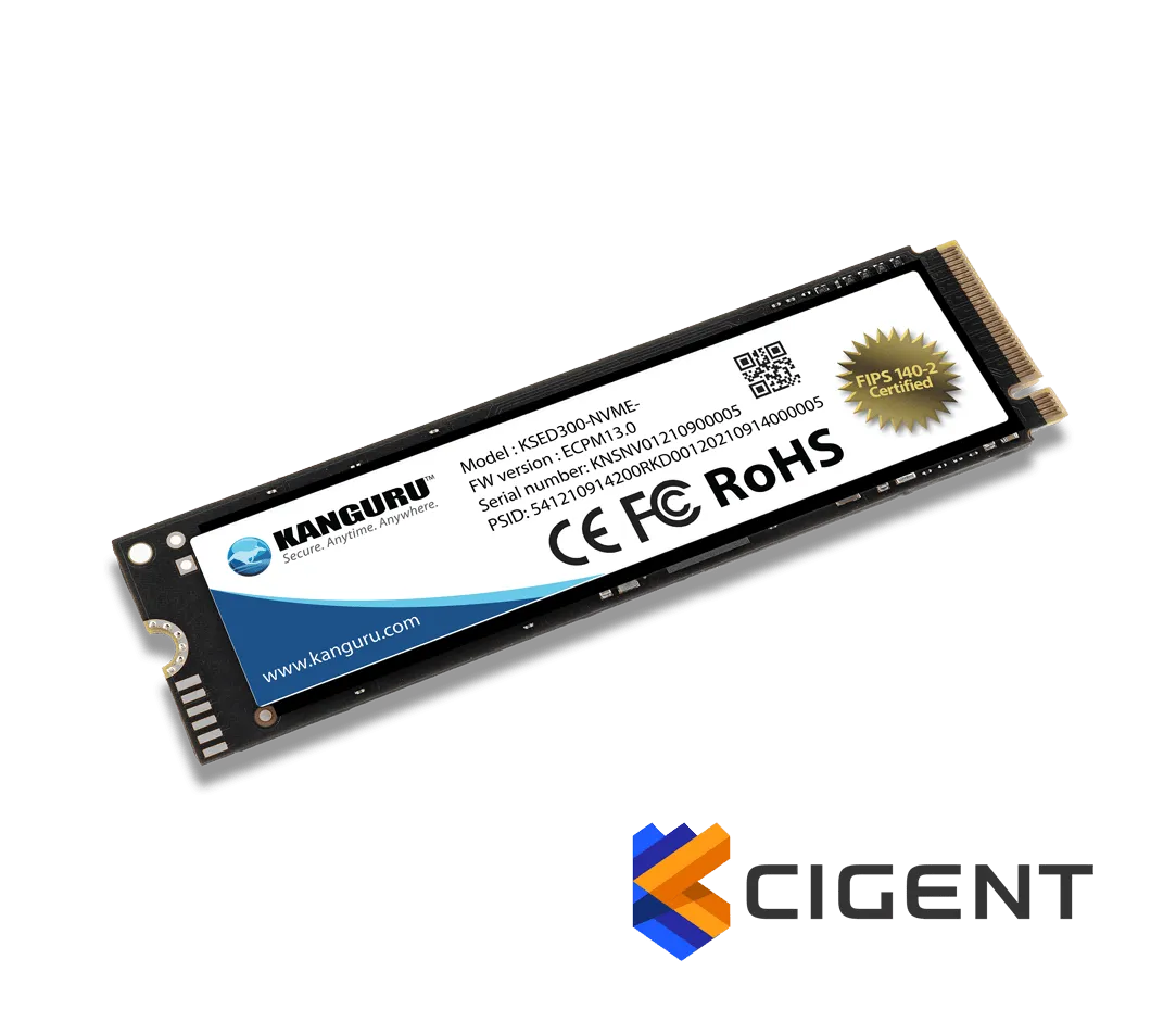 Kanguru Defender SED300 SSD M.2 NVMe Interne Hard Schijf - Cigent